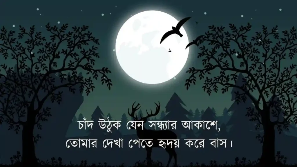চাঁদ নিয়ে ভালোবাসার ছন্দ ১